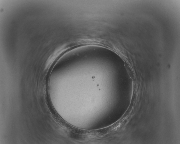 X0000066940103200603311427