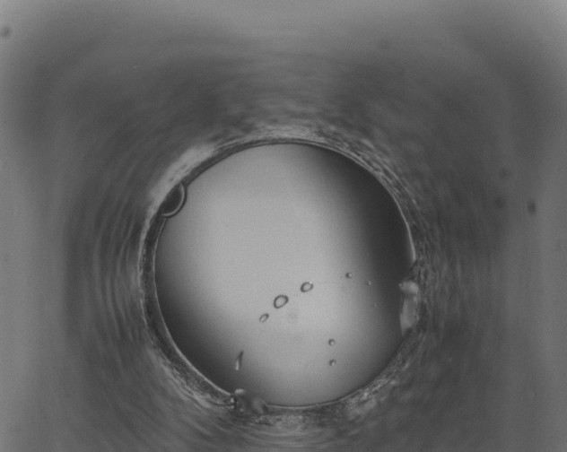 X0000066940104200603311427