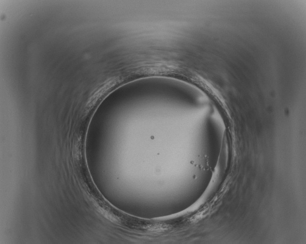 X0000066940105200603311427