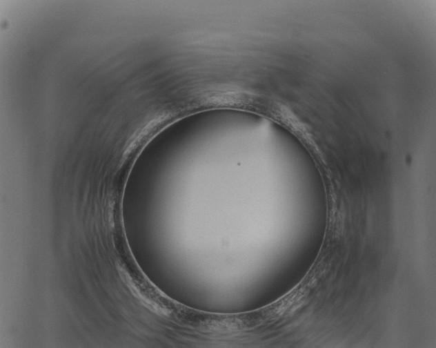 X0000066940106200603311427