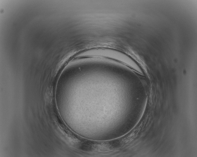 X0000066940107200603311427