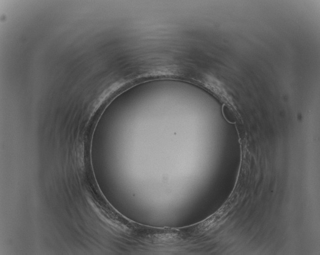 X0000066940108200603311427