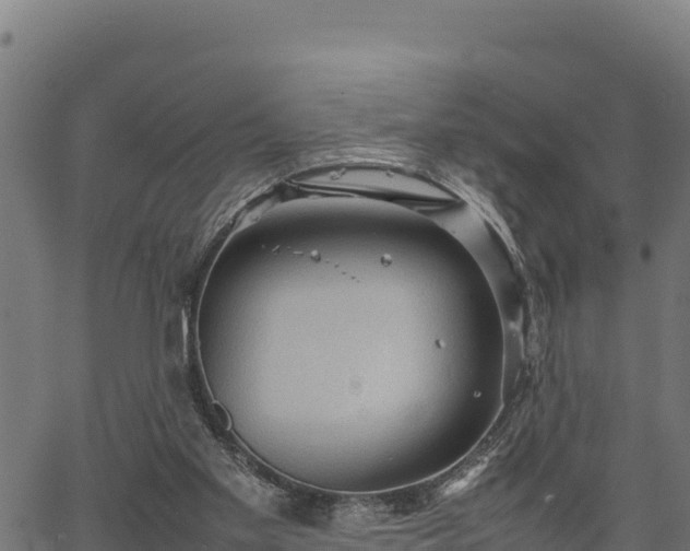 X0000066940109200603311427