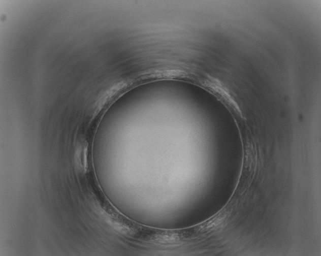 X0000066940110200603311427