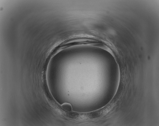 X0000066940111200603311427