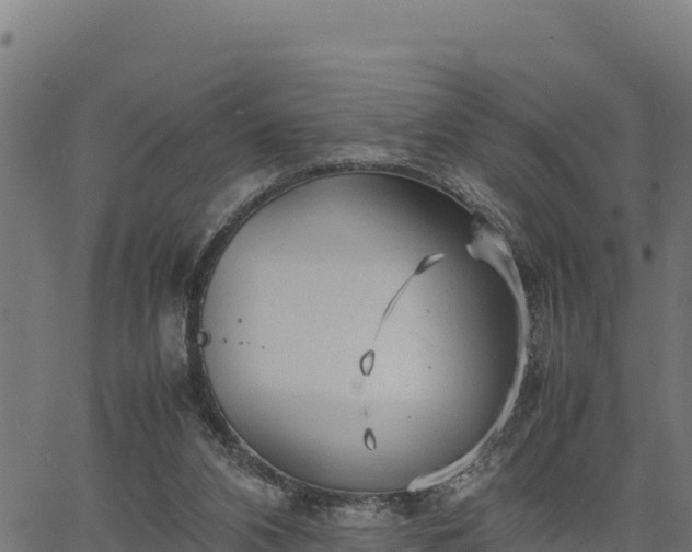 X0000066940112200603311427