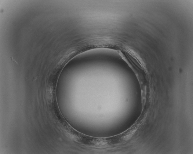 X0000066940113200603311427