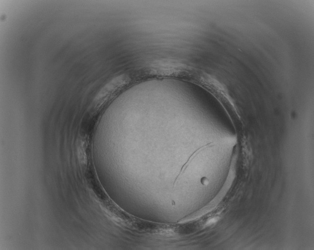 X0000066940114200603311427