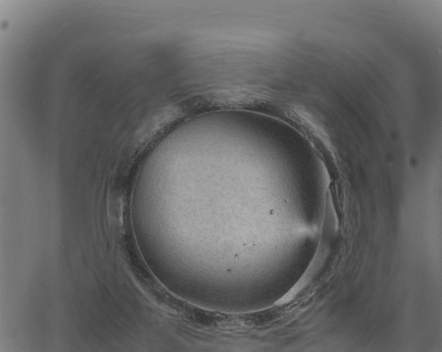 X0000066940115200603311427