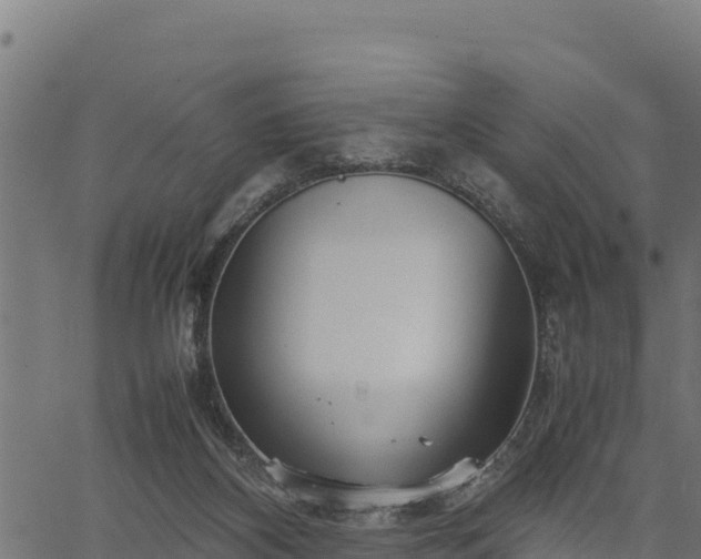 X0000066940116200603311427