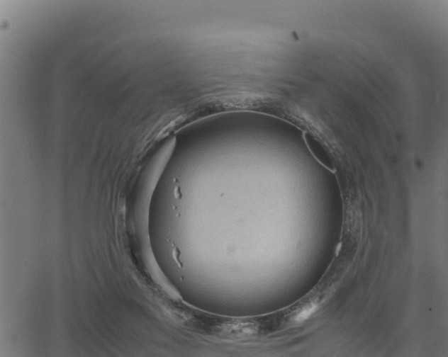 X0000066940117200603311427