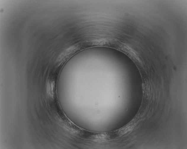 X0000066940118200603311427