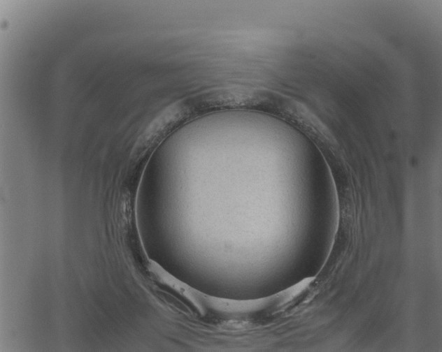 X0000066940119200603311427