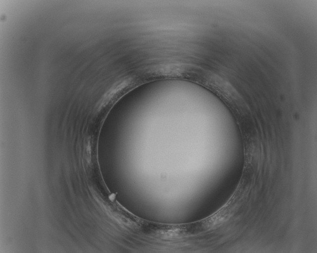 X0000066940120200603311427