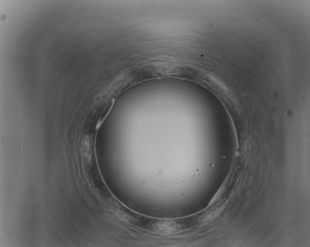 X0000066940121200603311427