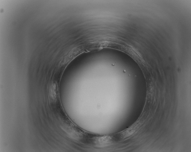 X0000066940122200603311427