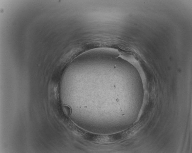 X0000066940123200603311427