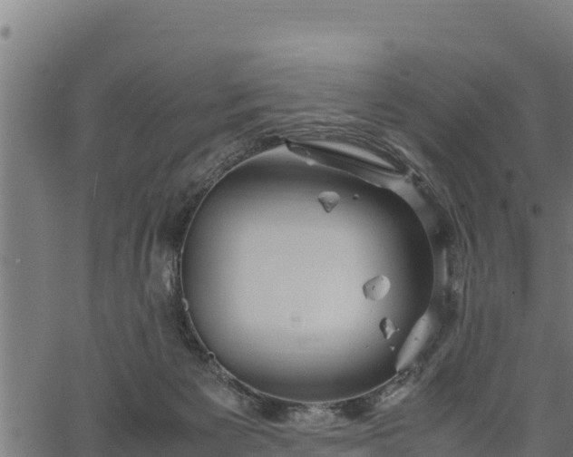 X0000066940125200603311427