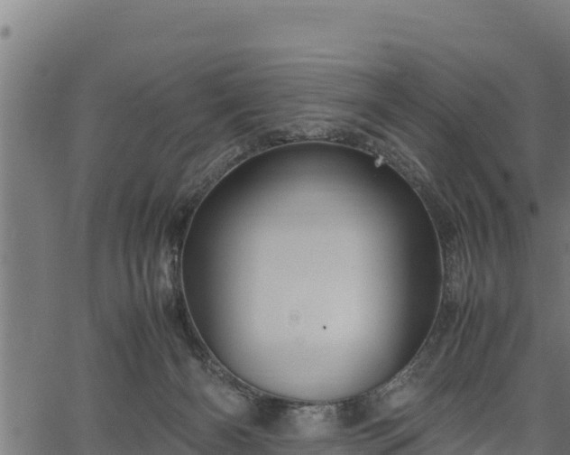 X0000066940126200603311427