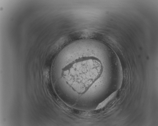 X0000066940127200603311427