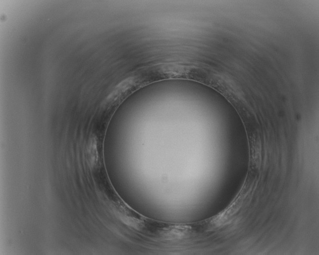 X0000066940128200603311427