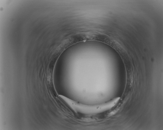 X0000066940129200603311427