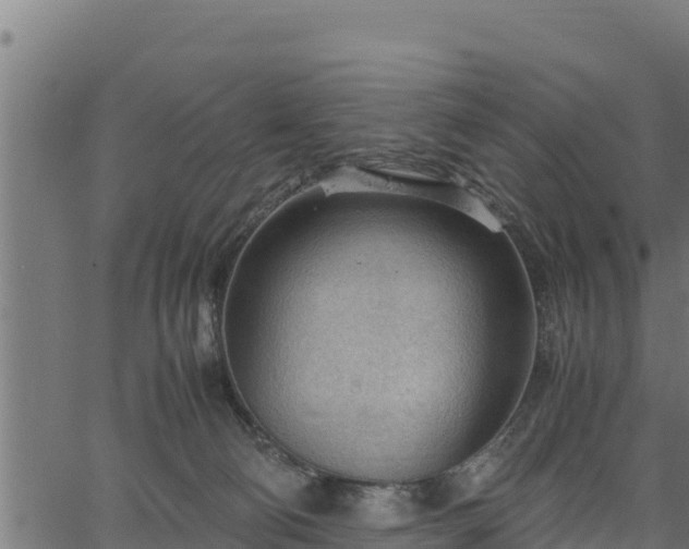 X0000066940130200603311427