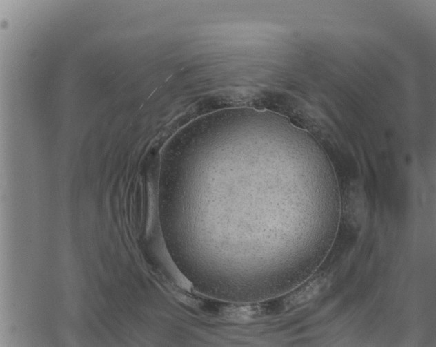 X0000066940131200603311427