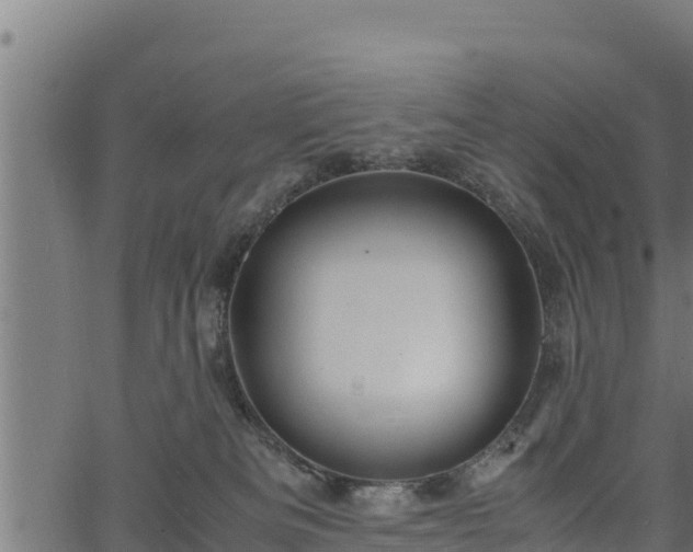 X0000066940133200603311426