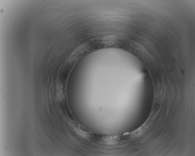 X0000066940136200603311426