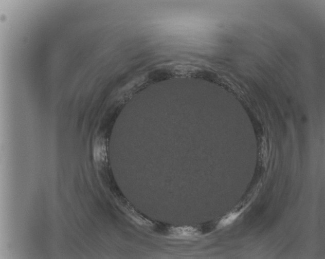 X0000066940137200603311426