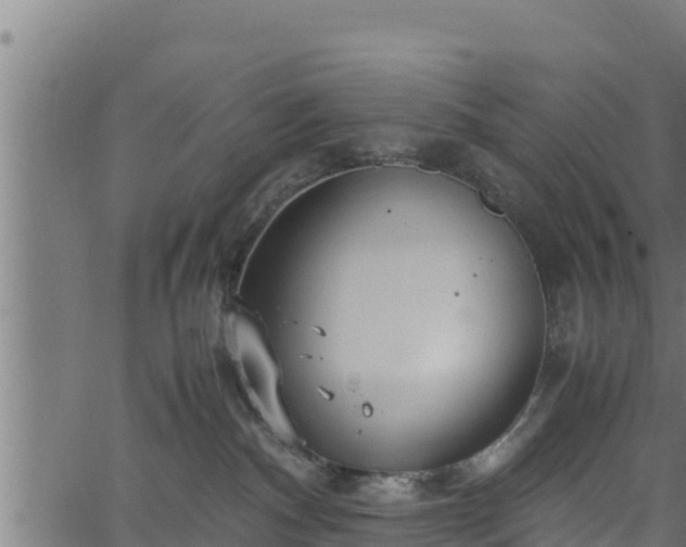 X0000066940140200603311426