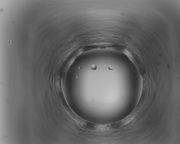 X0000066940141200603311426