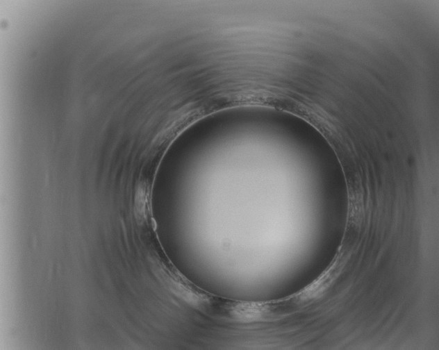 X0000066940142200603311426