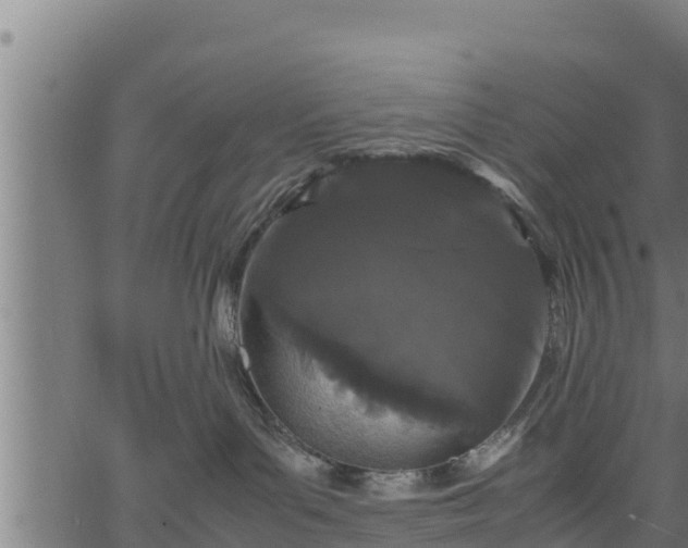 X0000066940143200603311426