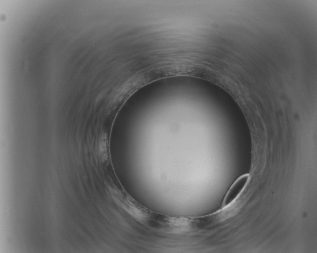 X0000066940144200603311426