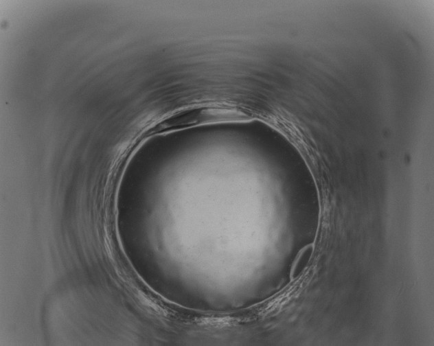 X0000066940145200603311426