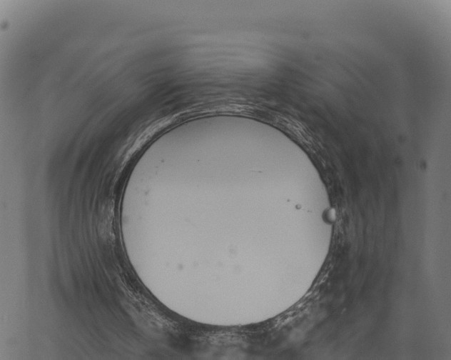 X0000066940146200603311426