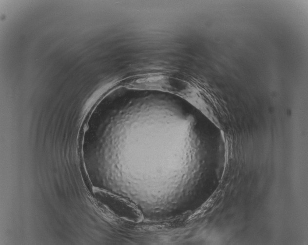 X0000066940147200603311426