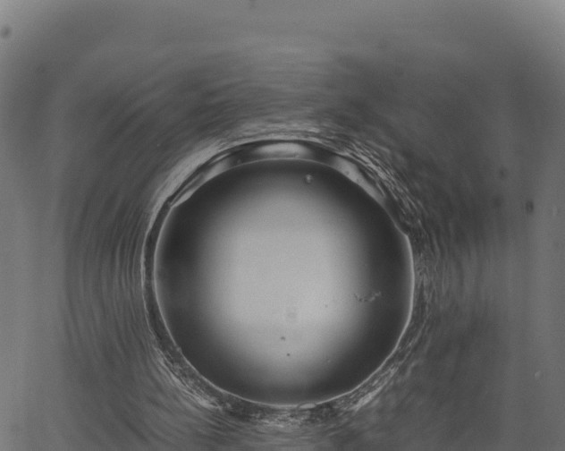 X0000066940148200603311426