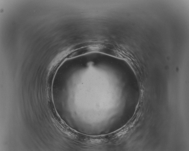 X0000066940149200603311426