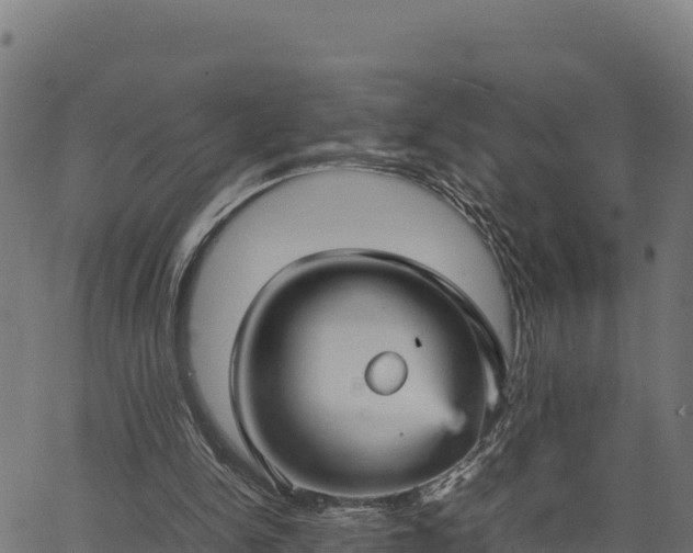 X0000066940150200603311426