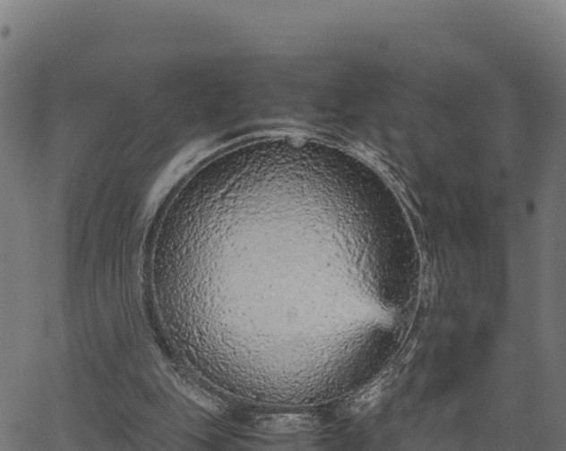 X0000066940151200603311426