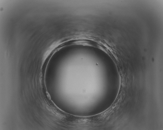 X0000066940152200603311426