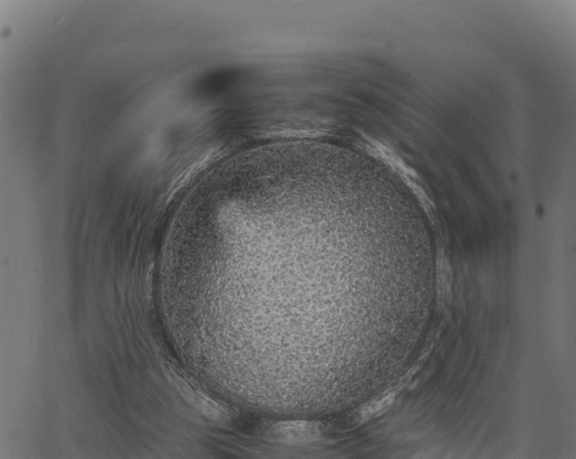 X0000066940153200603311426