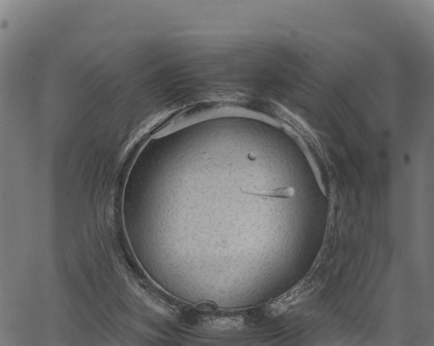 X0000066940155200603311426