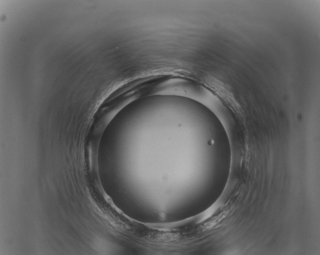 X0000066940156200603311426