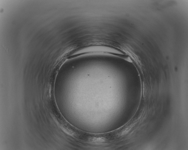 X0000066940157200603311426