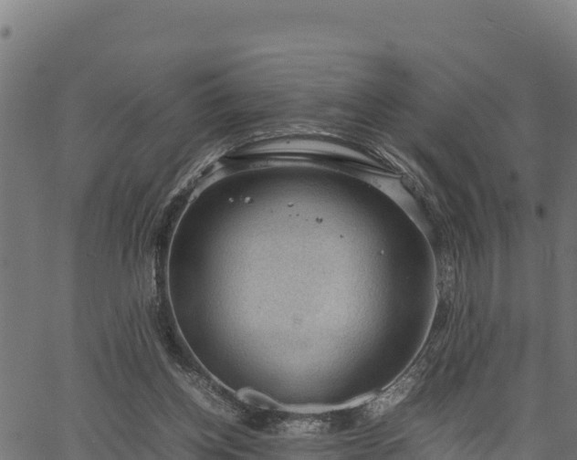 X0000066940158200603311426