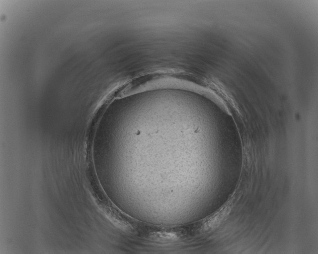 X0000066940159200603311426